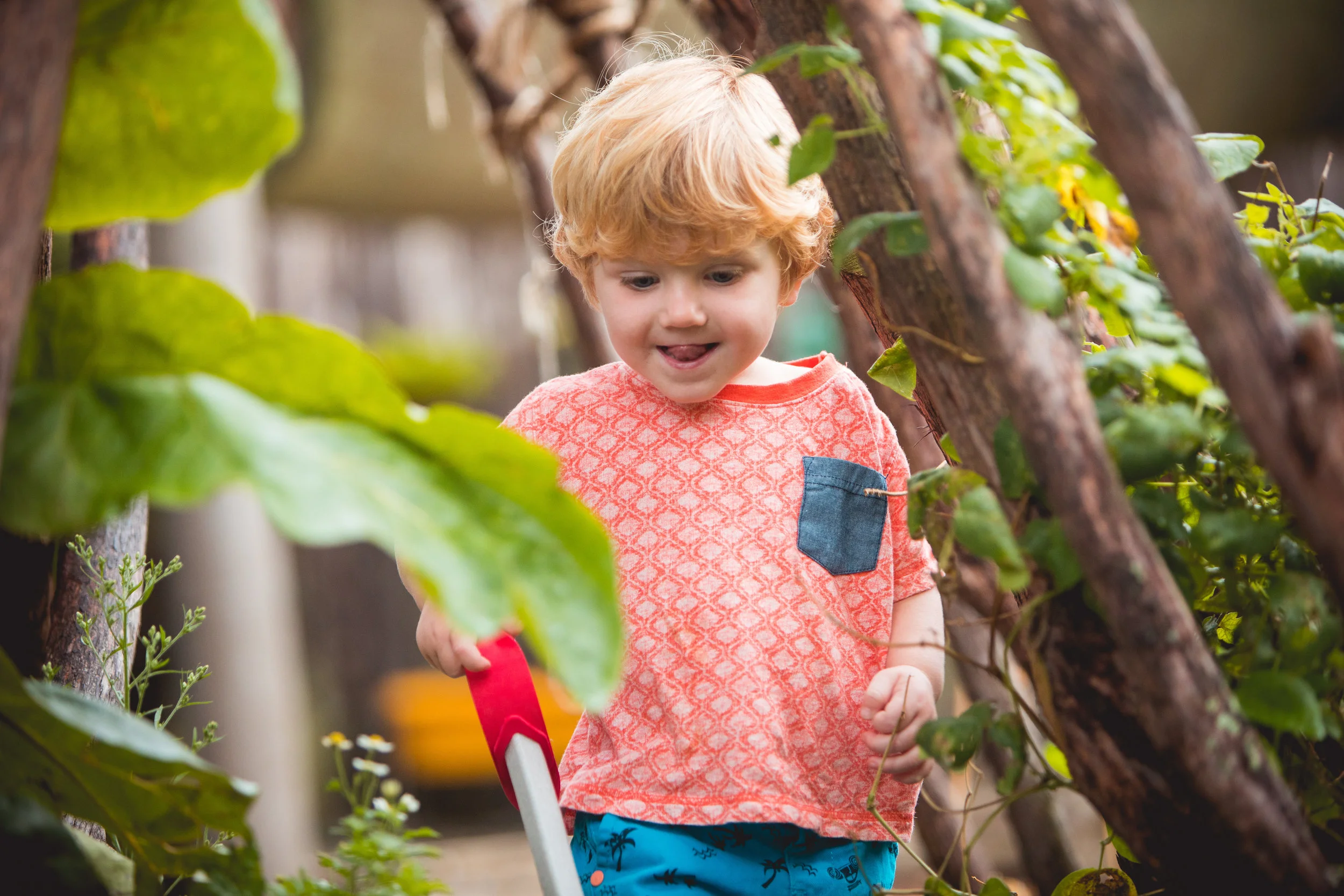 DayStar Garden Archway