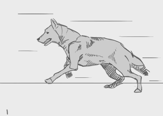 wolf_run.gif