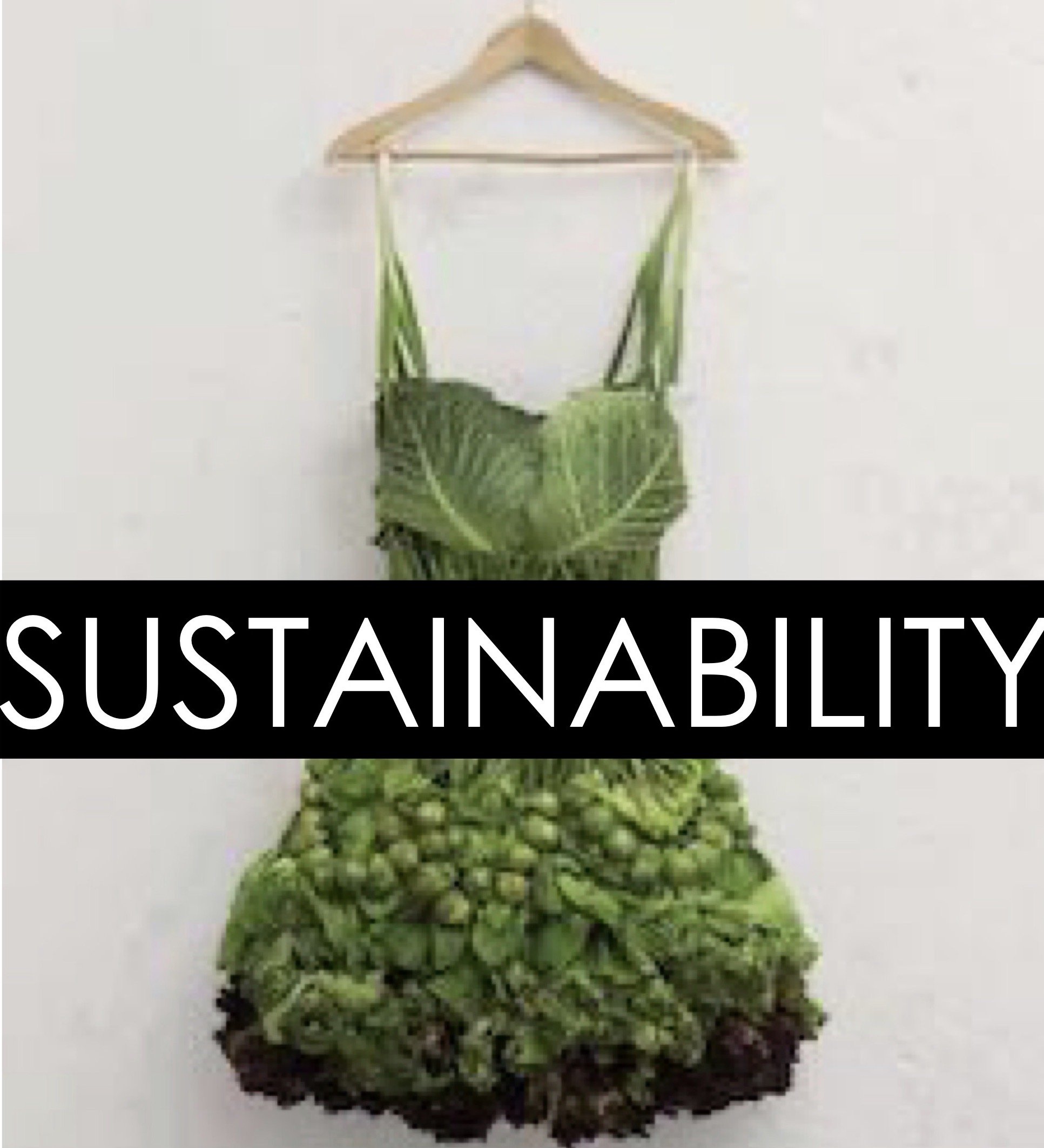 sustainability banner.jpeg