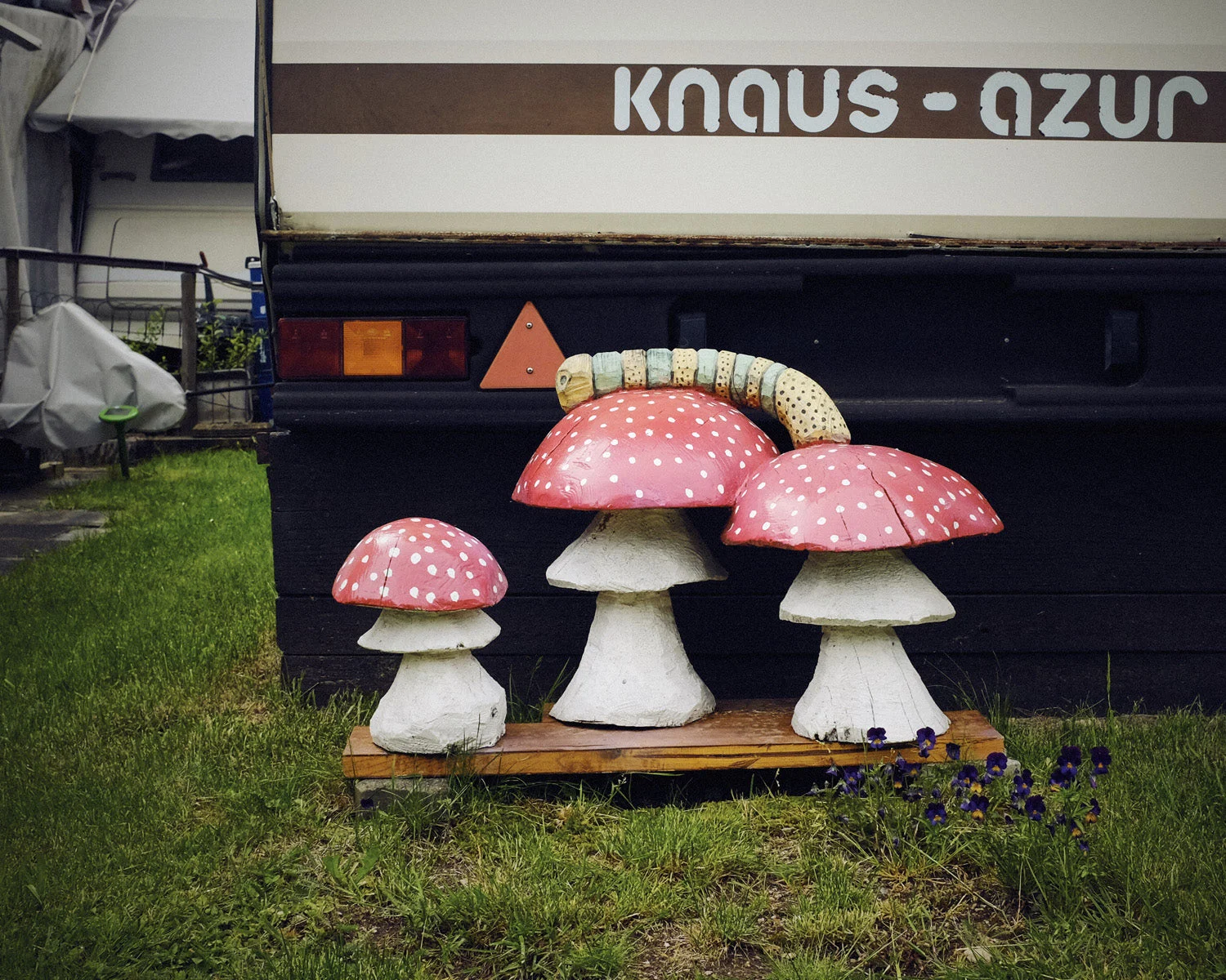 Camping