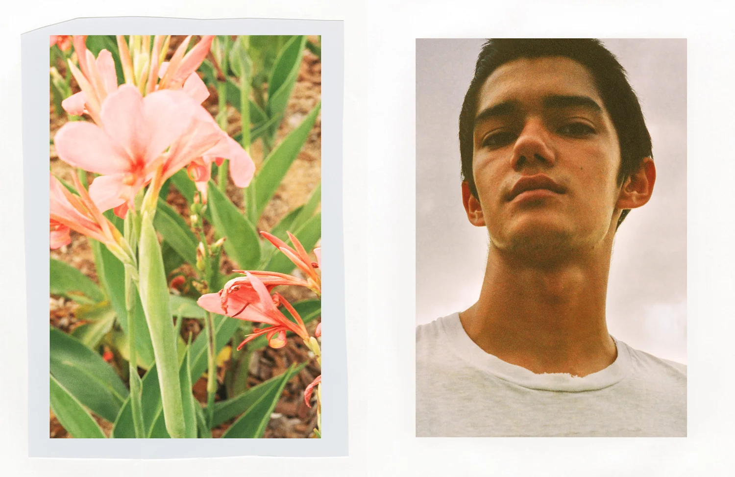 luke-harris-03.jpg