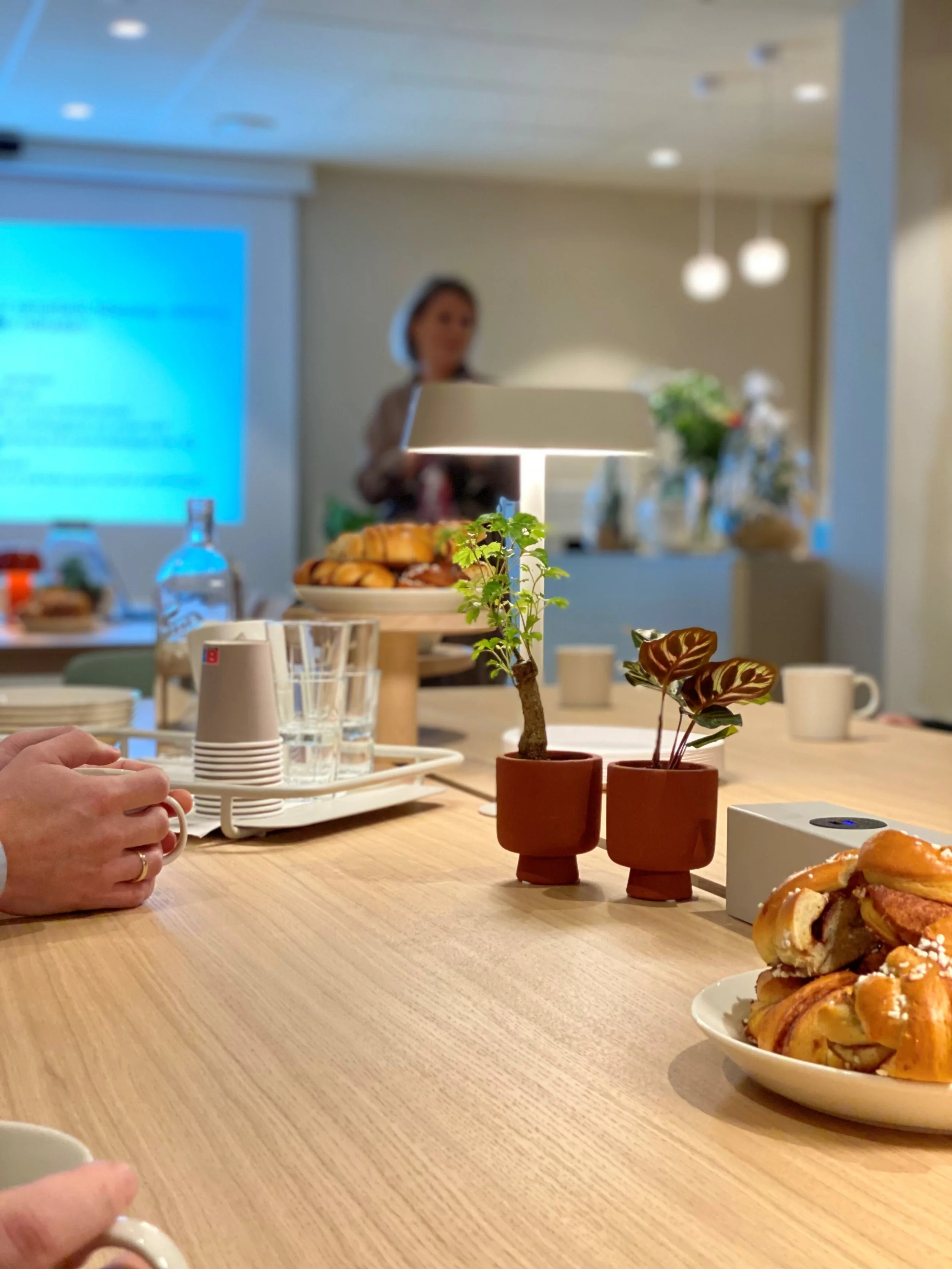 Åsne presentasjon åpning.jpg