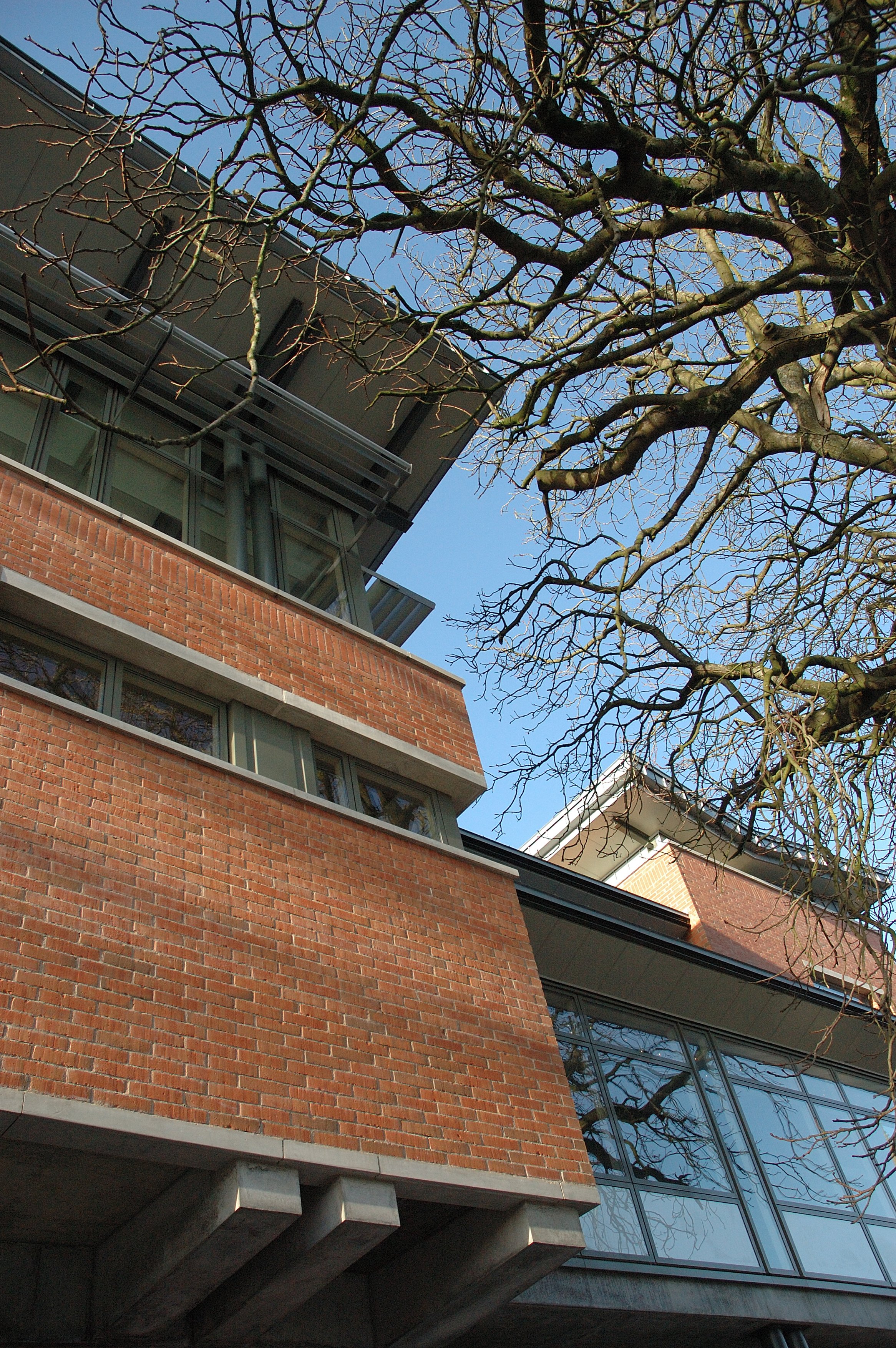 cavan 11.01.06 145.jpg