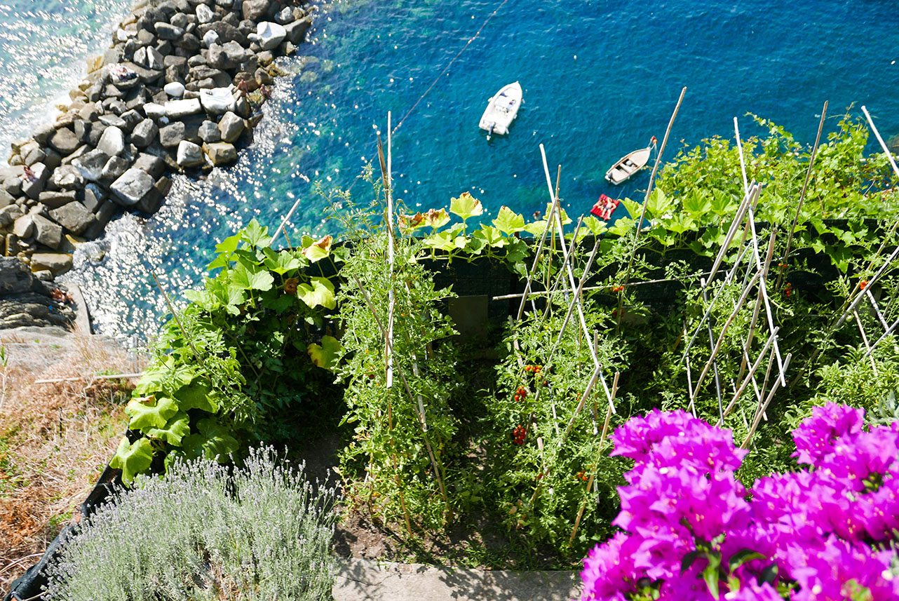 CinqueTerre-1020603.jpg