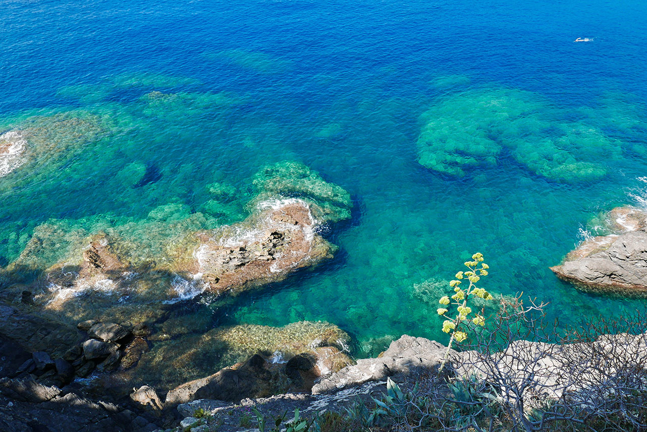CinqueTerre-1020140.jpg