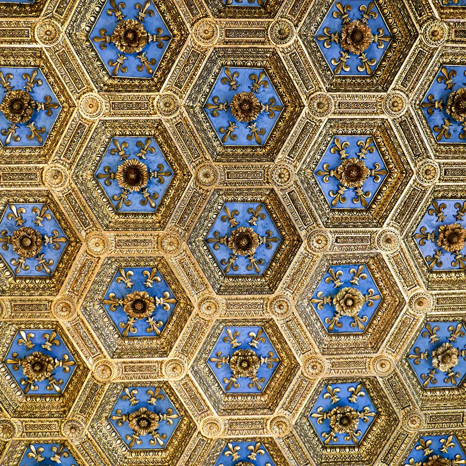 Florence-1010053.jpg