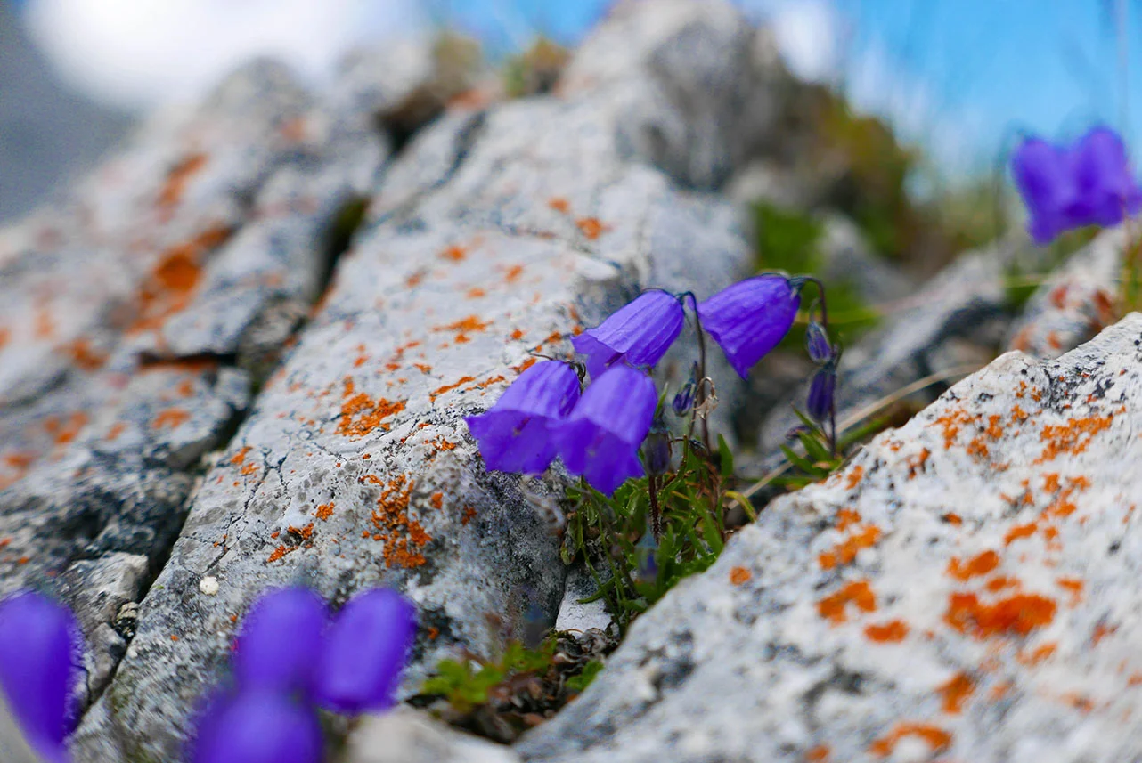 Innsbruck-1030327.jpg