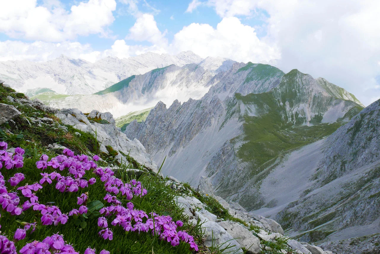 Innsbruck-1030399.jpg