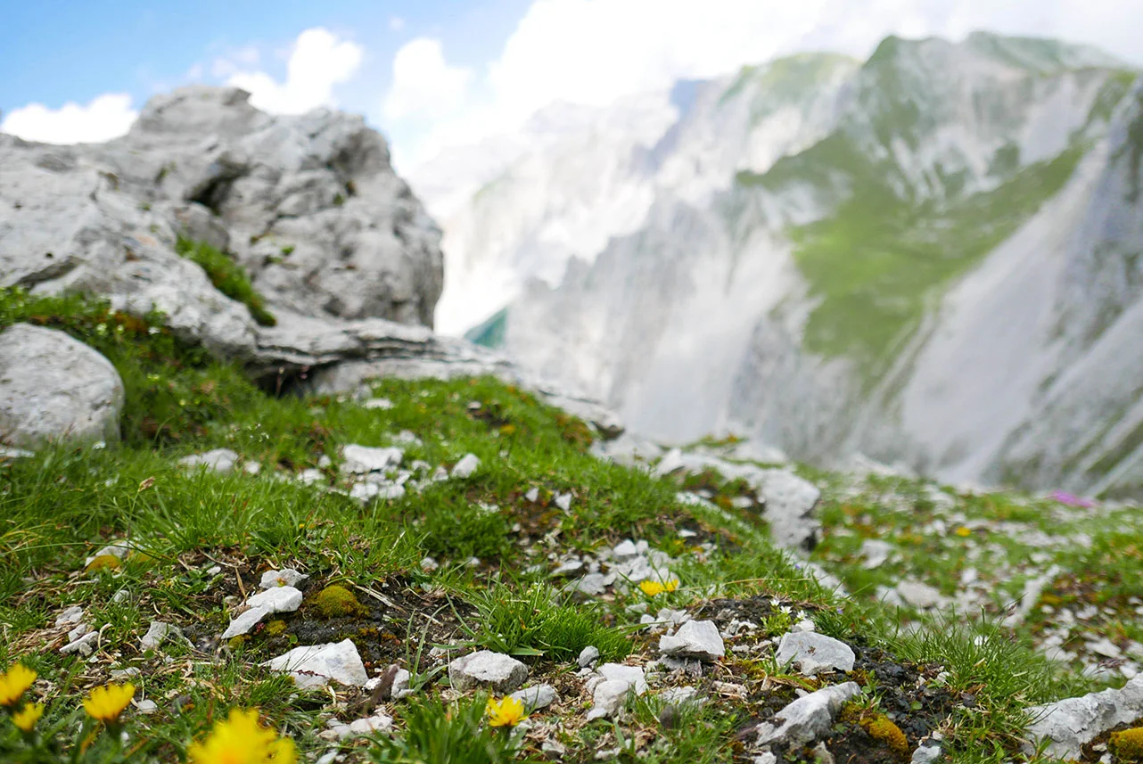 Innsbruck-1030415.jpg