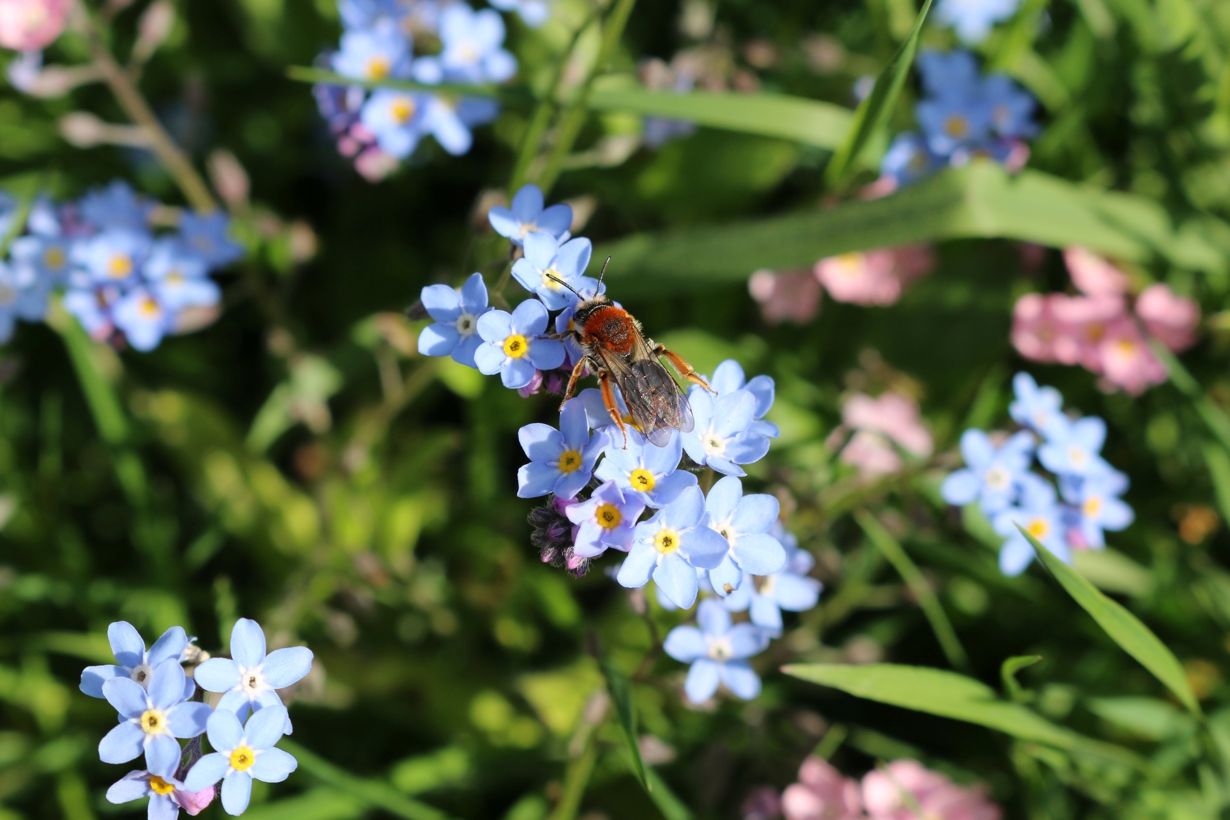  Pesticide Action Network UK 