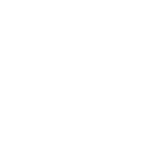 vulnerability assessment.png