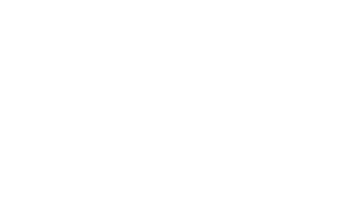 Essential Developer