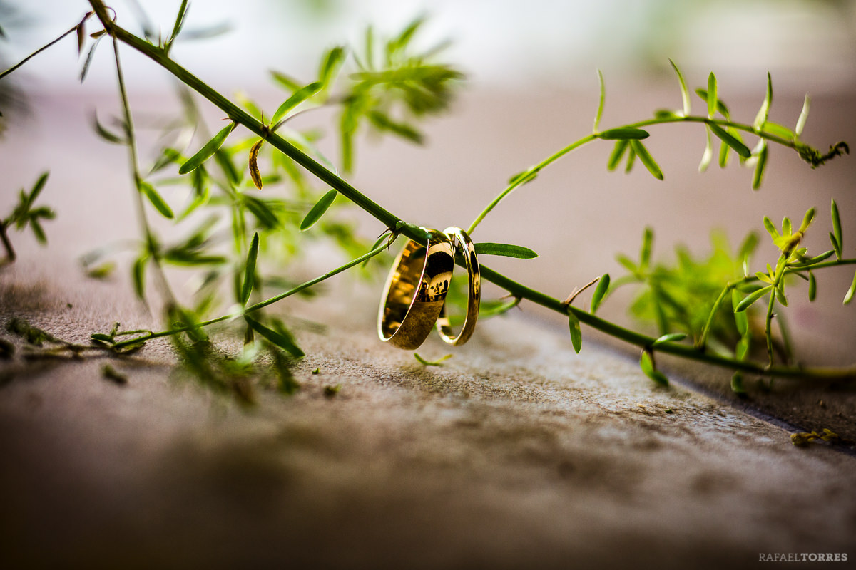 wedding-seville-hacienda-san-rafael-photographer-rafael-torres-bride-groom-2.jpg