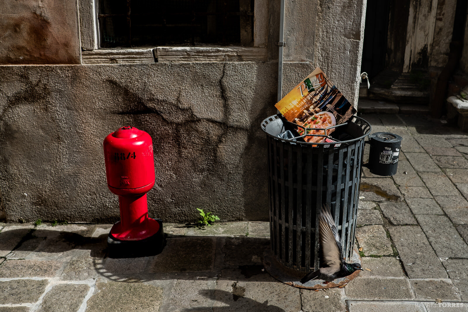 Venecia-burano-murano-verona-rafael-torres-photo-italia-fotografo--3.jpg