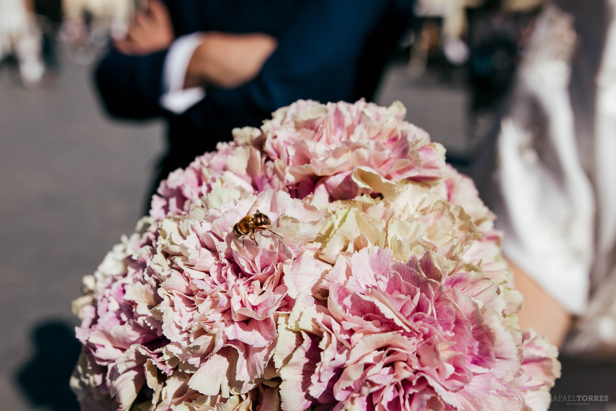 boda -pepe-ana-alfonso-xiii-rafaeltorresphoto-658.JPG