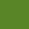 green-pixel.gif