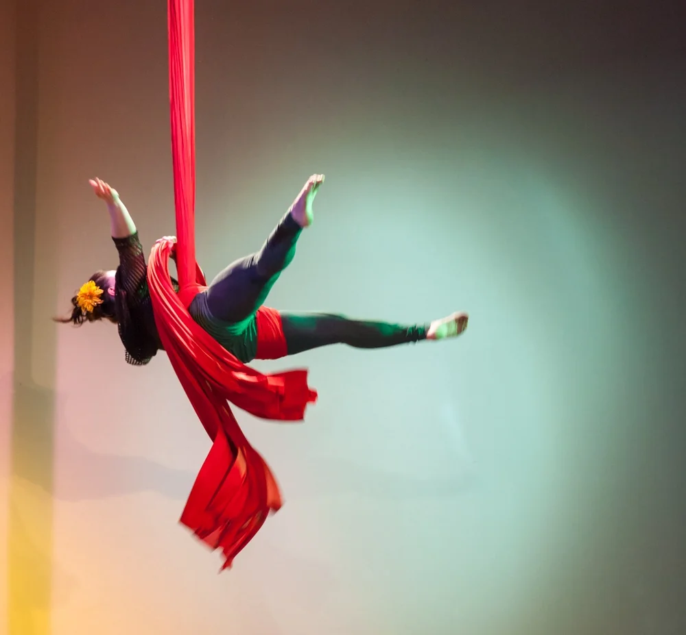 Silks, Trapeze, Lyra, Duo Aerial