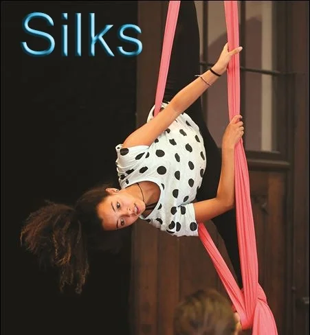 Silks.jpg
