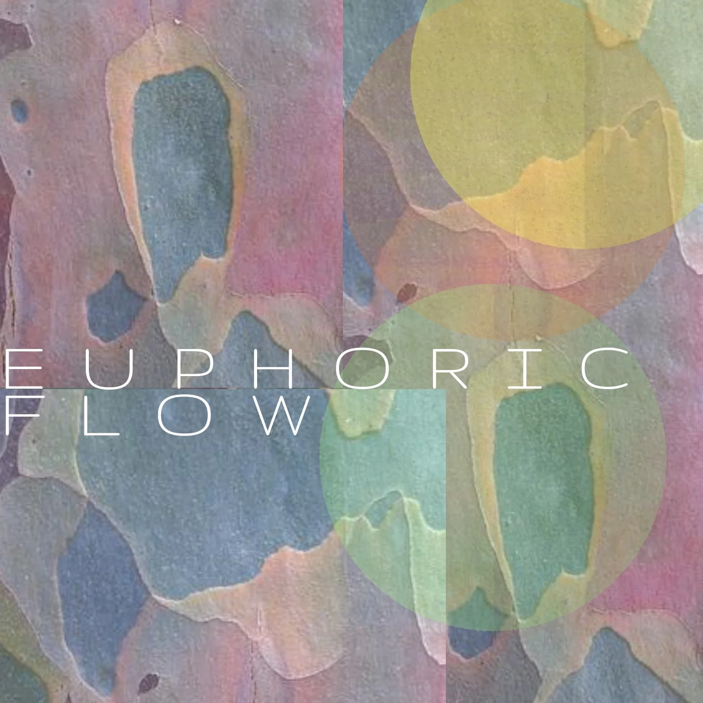 EUPHORICFLOW.jpg