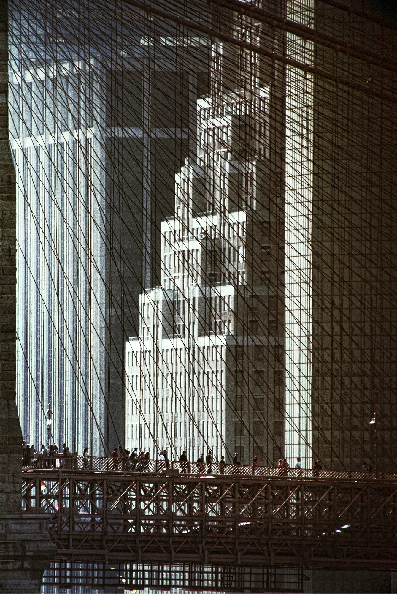 DSC_7891 WP18.jpg