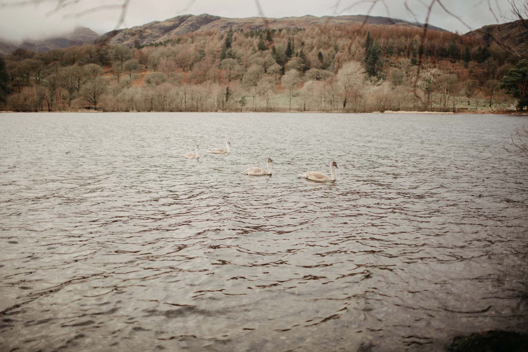 south-lakes-wedding-photographer.jpg