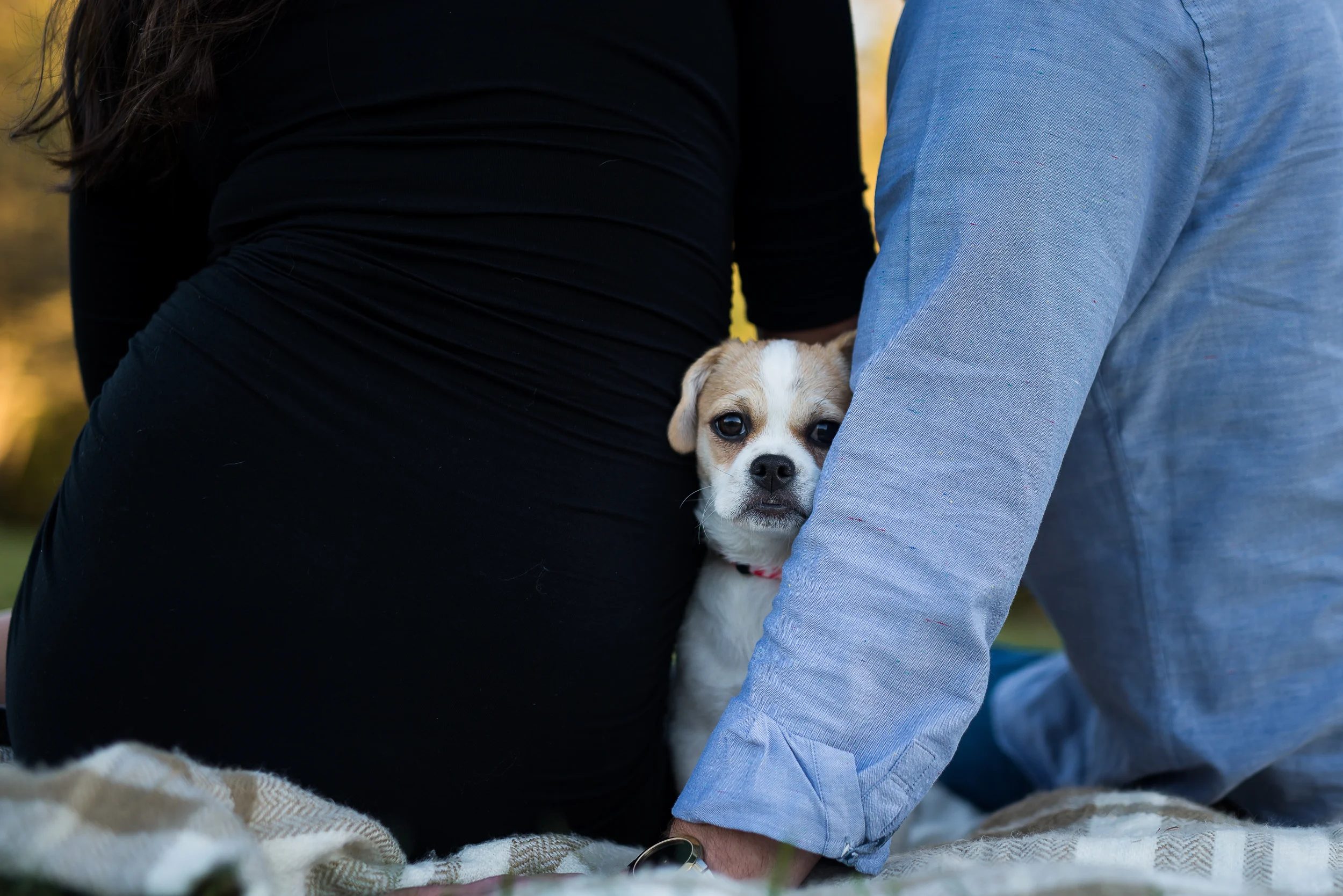 20161023 - Andrew & Shani - Maternity-DSC_7483.jpg