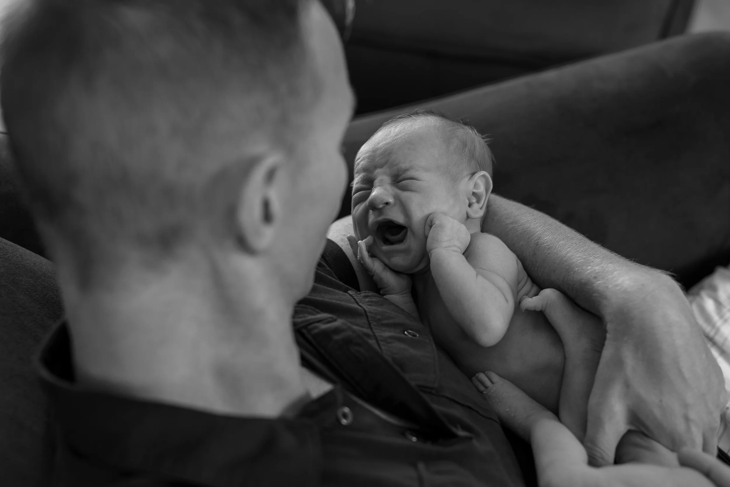 DSC_0099.jpg