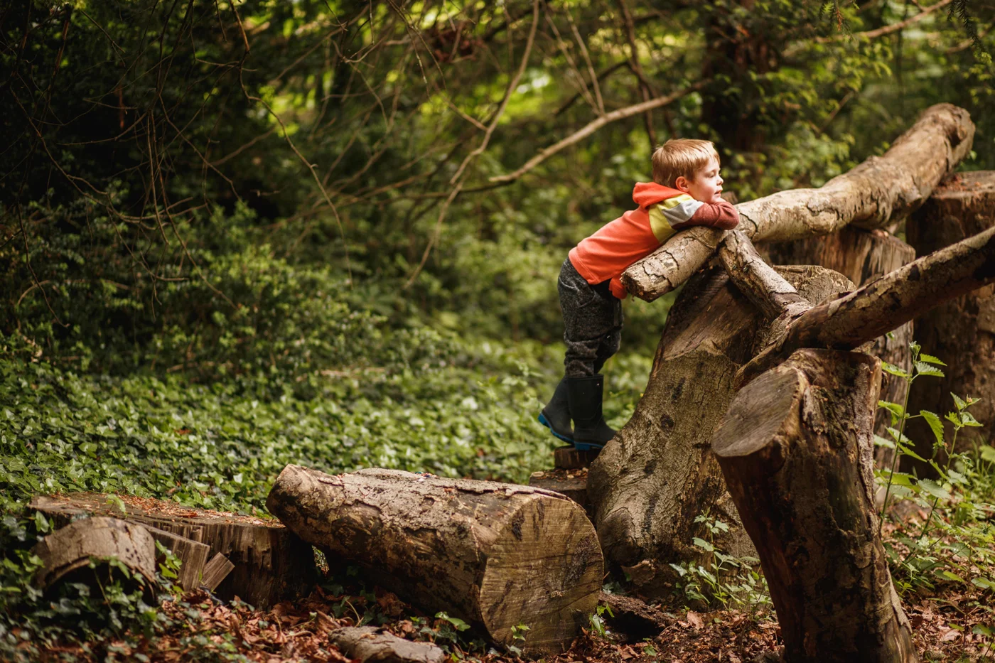 Forest-School-The-Ark-2-236.jpg