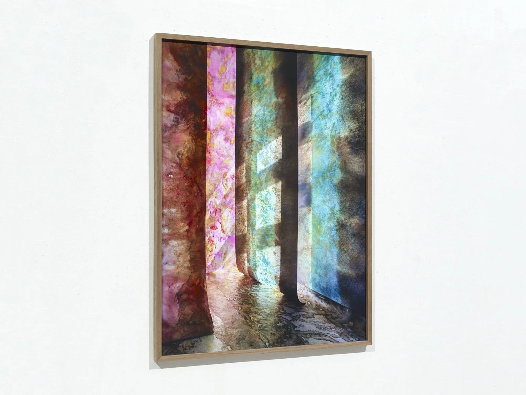 Angled gallery view of Overgrown Path 02 by Jan Theun van Rees, showing the framed photograph against a white wall.