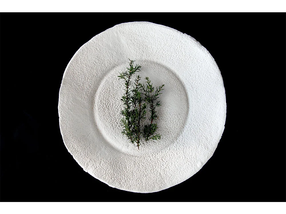 Rawcolor_white_1.jpg