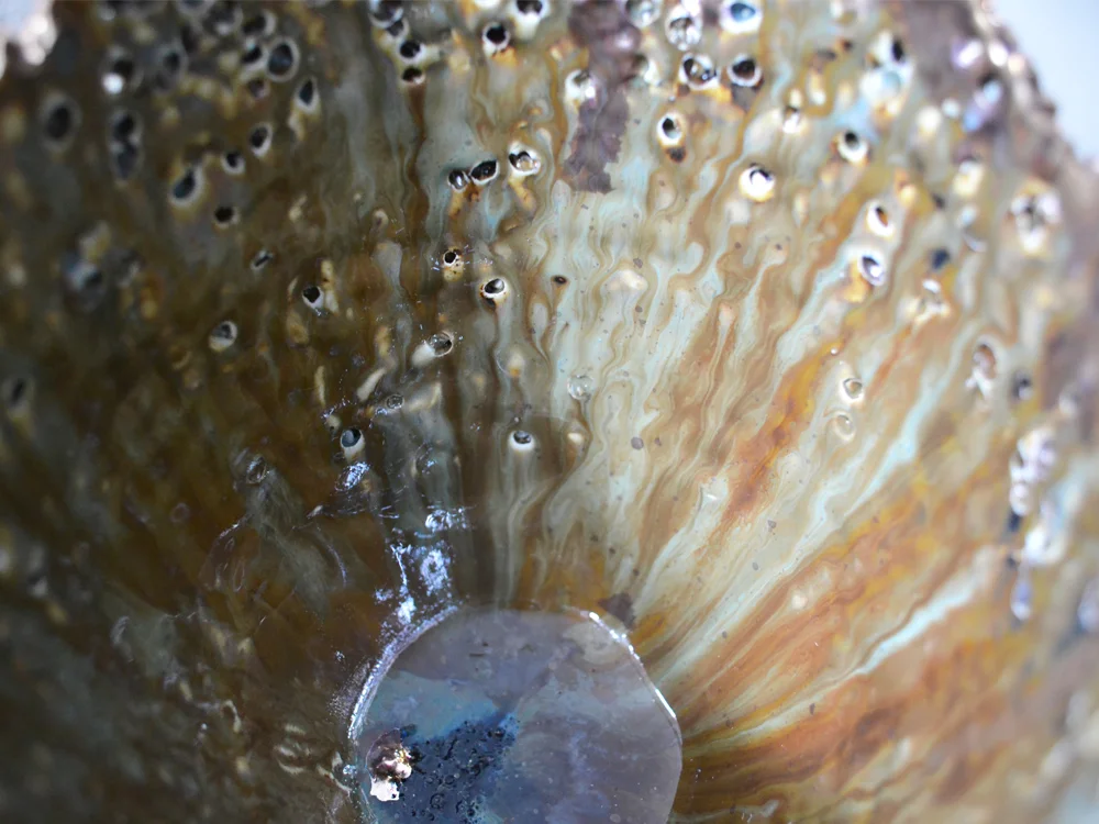 Vase_gold_closeup_2.jpg