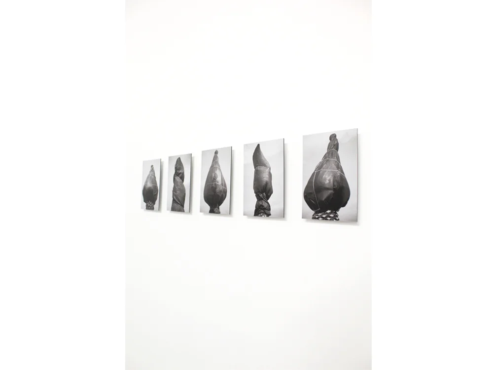 Inpakpalmen_5luik_PhilinevandenHul_2017_Detailfoto2_Photography.jpg