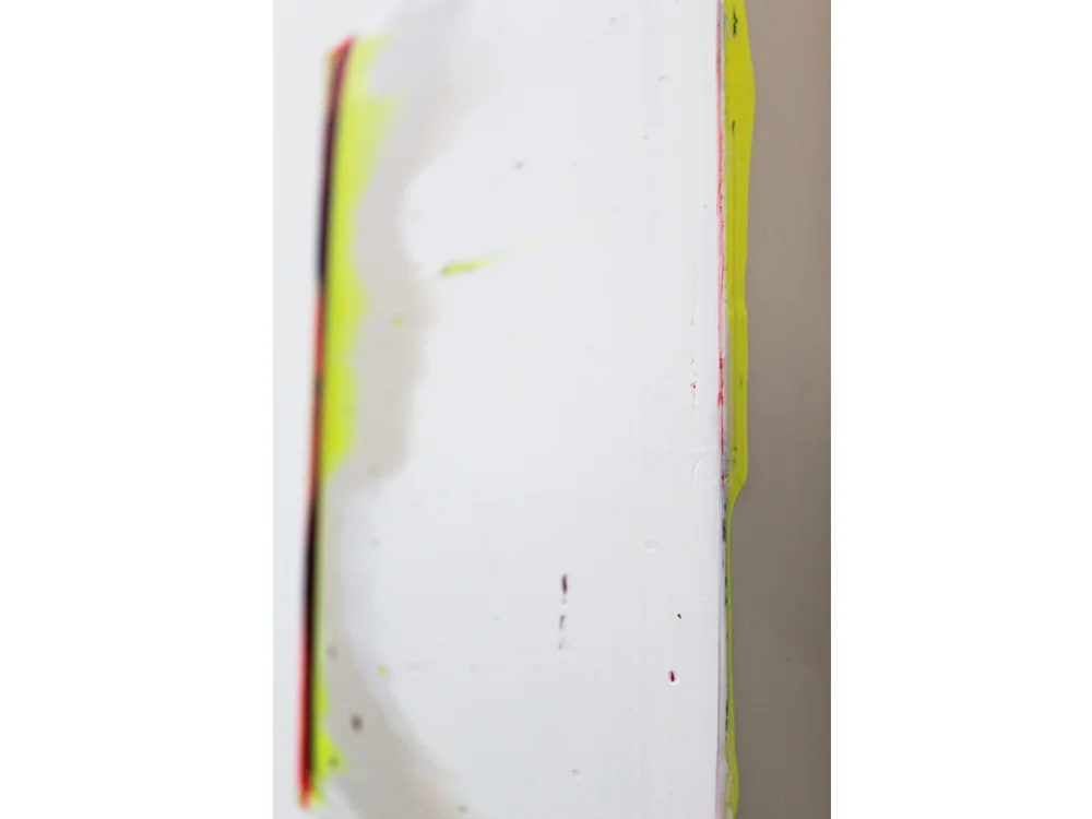 LisetteSchumacher_2019_16detail2_20x15cm_acryliconpanel.jpg