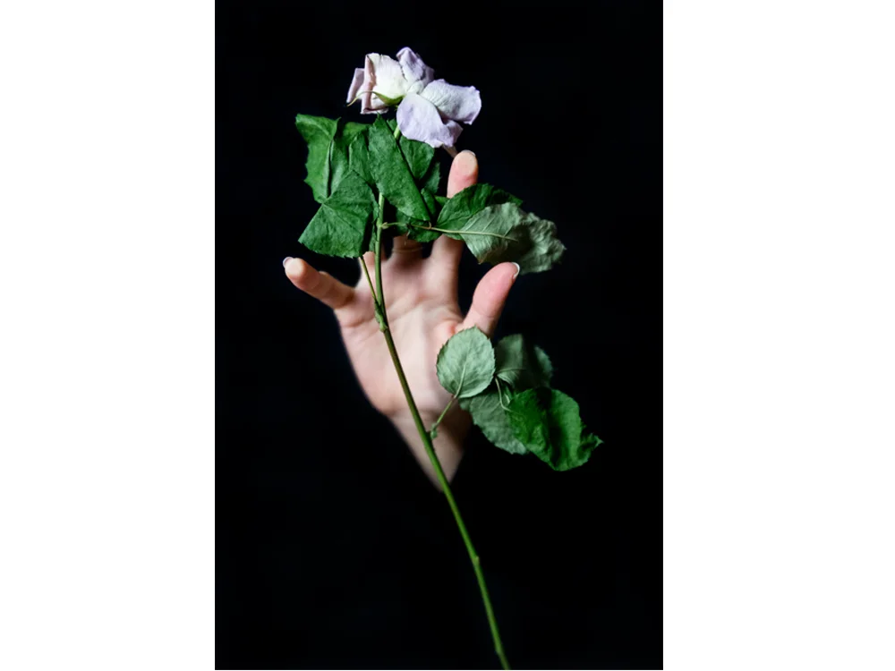 If-Only-I-Could-Reach-You-Now_70x105cm_ed4+1.jpg
