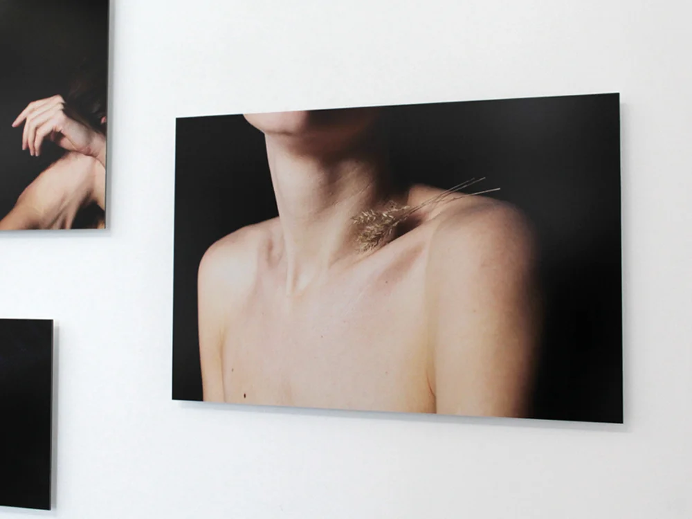 OUR-BODIES-ARE-ONLY-TEMPORARY-PLACES-TO-SHELTER_2019onwall_ed5+1_50x75cm.jpg