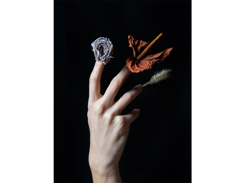 IWillBlossom_cutout_ed6_sophiedevos_40x30.jpg