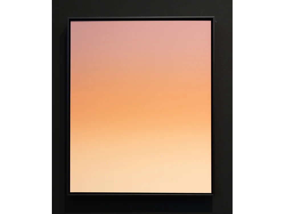 Donald_schenkel_orange_pastel_55x45_2019_framed.jpg