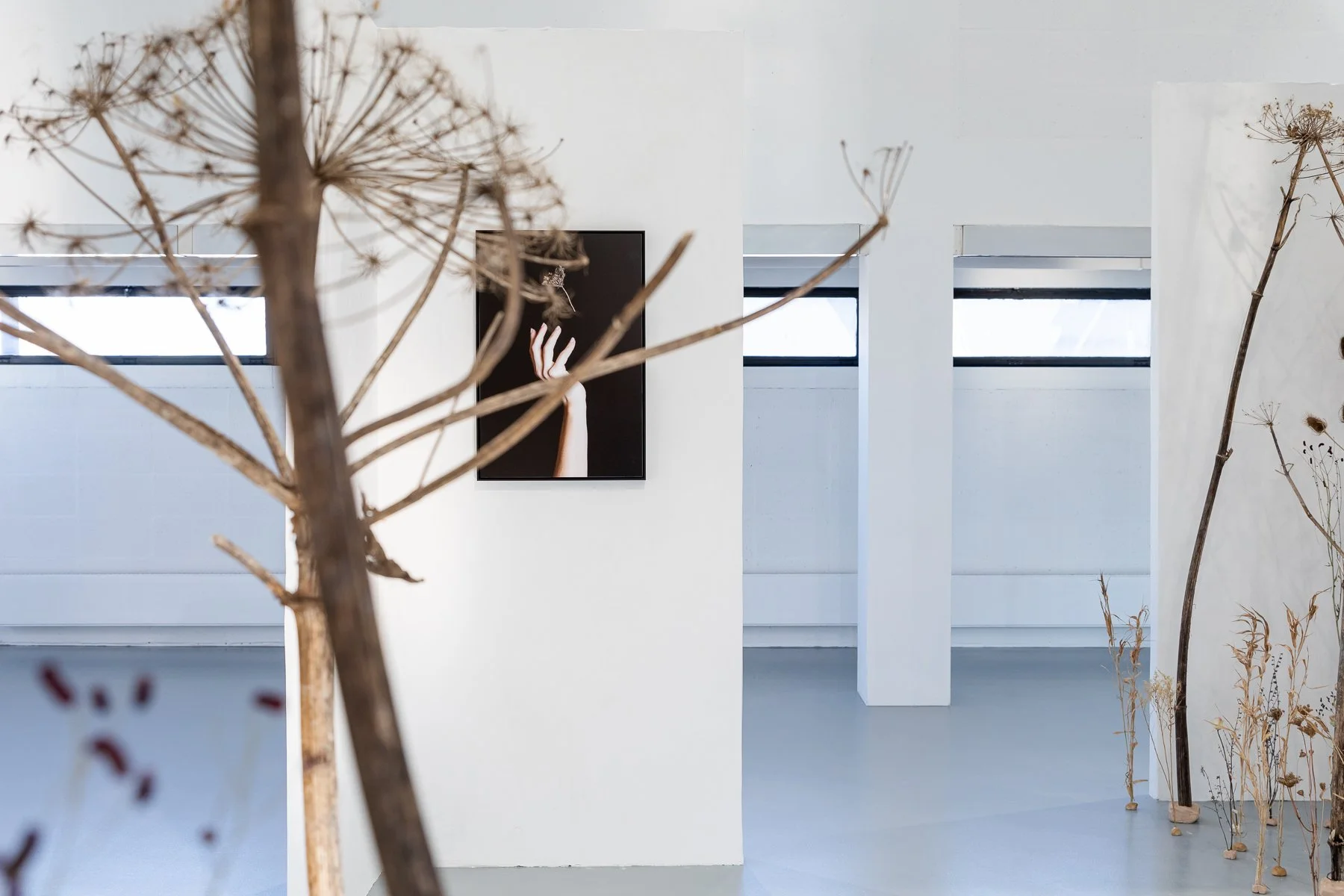 Finissage Living Landscapes