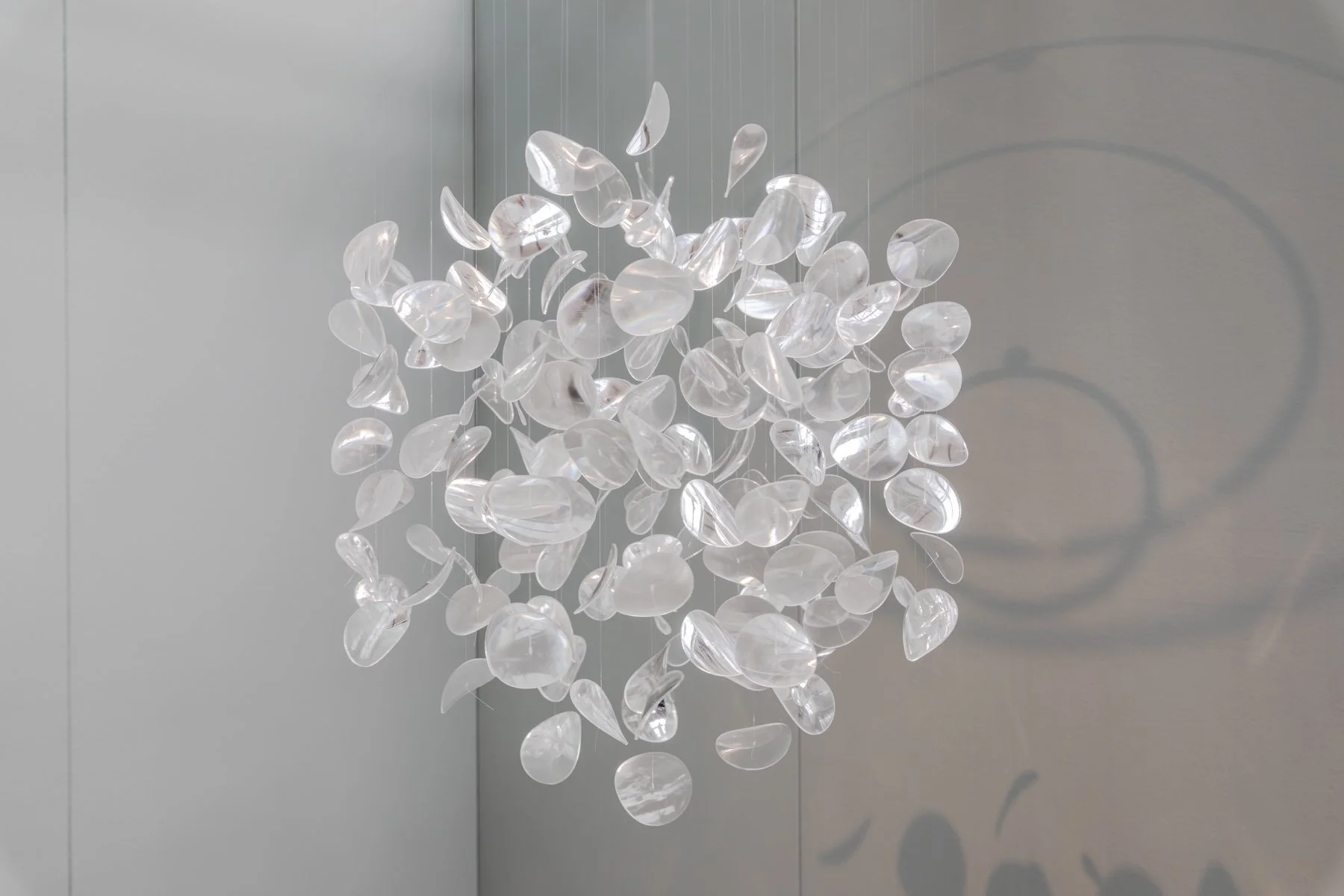 Liquid Crystal - Freerk Wilbers 