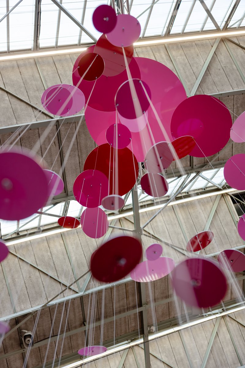 Low_FreerkRoot_Kunstrai2026©Jacqueline Fuijkschot-5.jpg