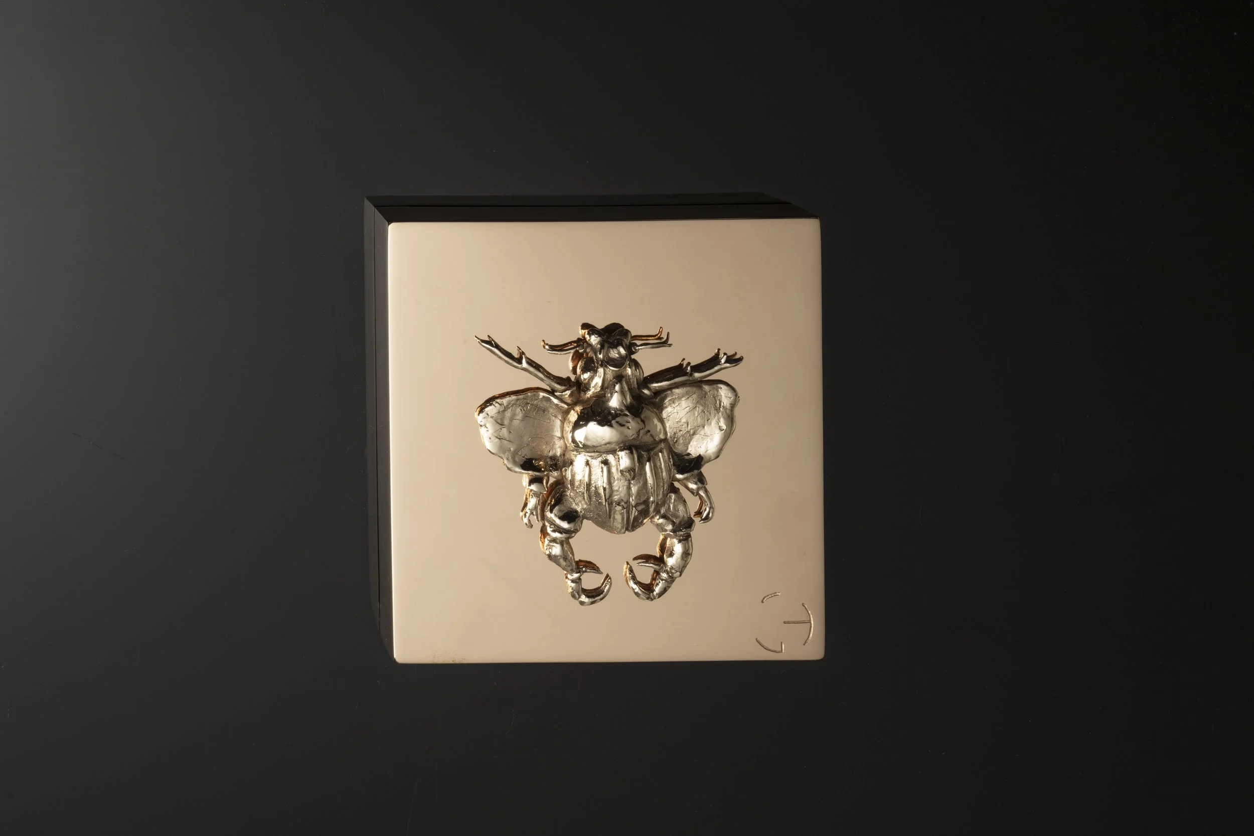 Sky Meets Sea by Jeske Haak, unique polished bronze wall sculpture depicting a hybrid creature between air and underwater life