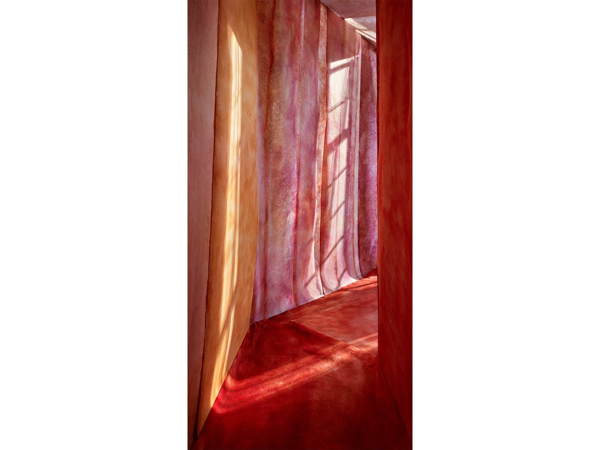 To Catch a Spark of Sunlight by Jan Theun van Rees