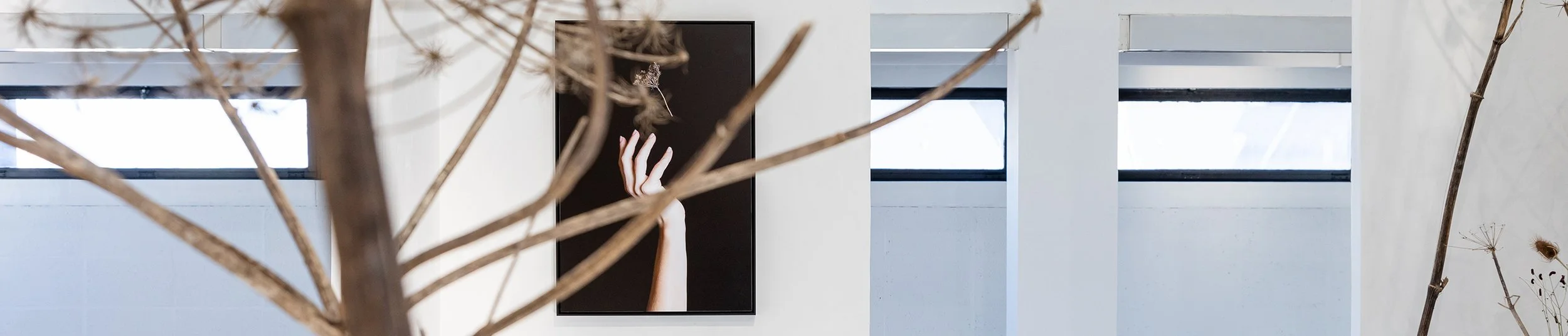Photographic artwork by Sophie de Vos, placed within the gallery space.