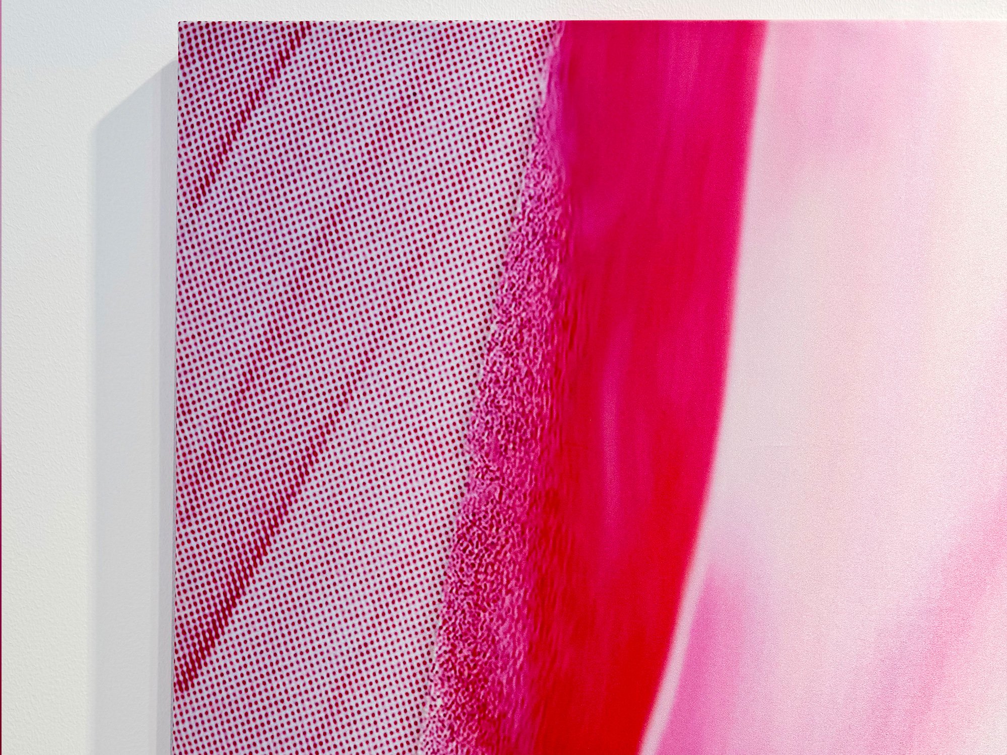 LayersOfPink1-135x225cm-2025-detail2-noah-arends.jpg