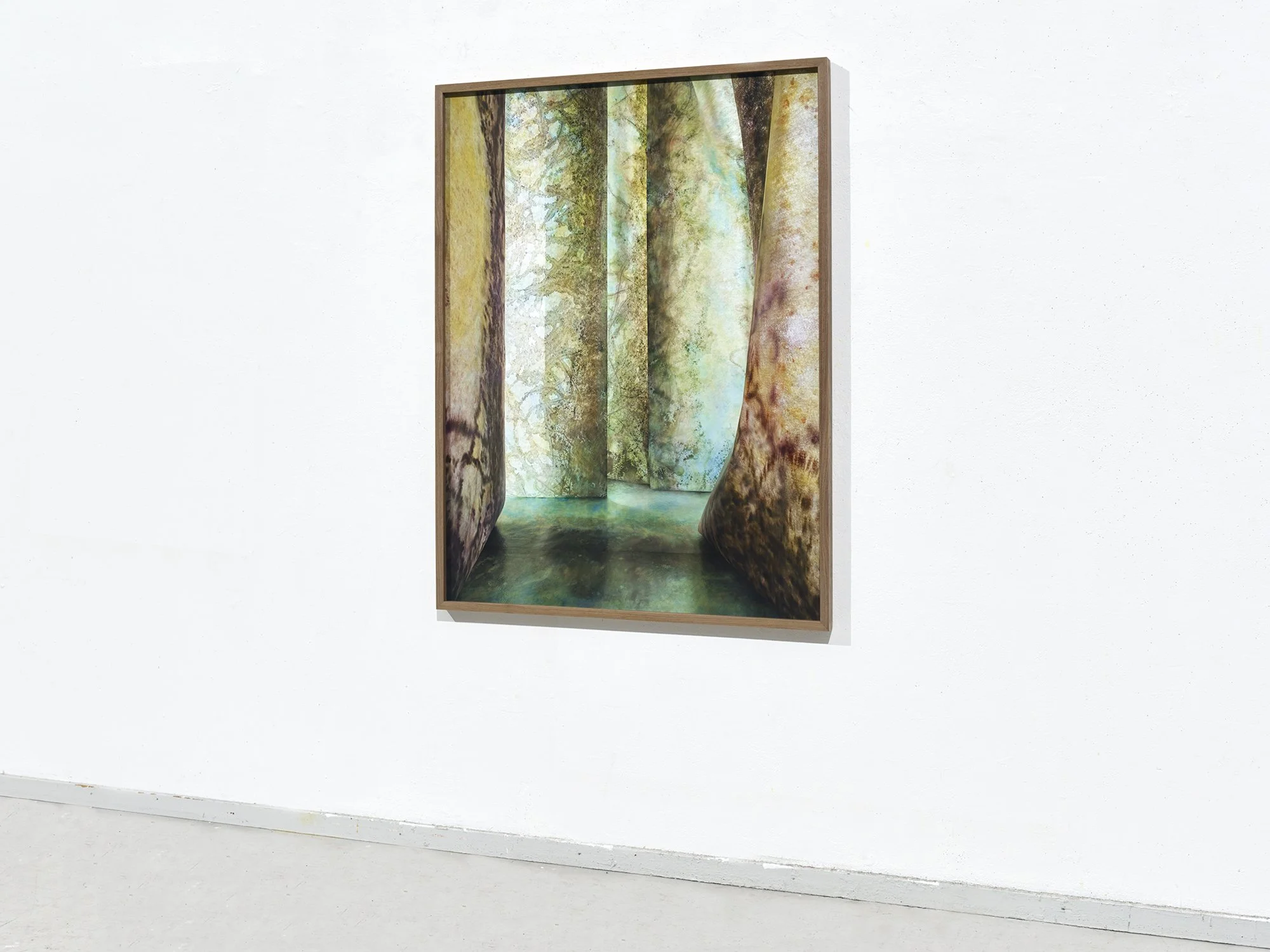 Angled gallery view of Overgrown Path 01 by Jan Theun van Rees, a photograph of a constructed, forest-like passage.