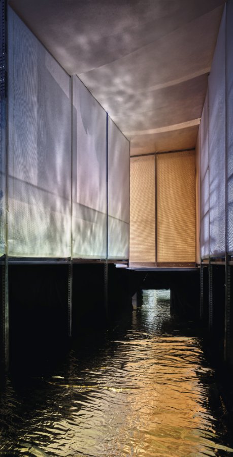 Root Gallery - Jan Theun van Rees | Captivating photography exploring ...