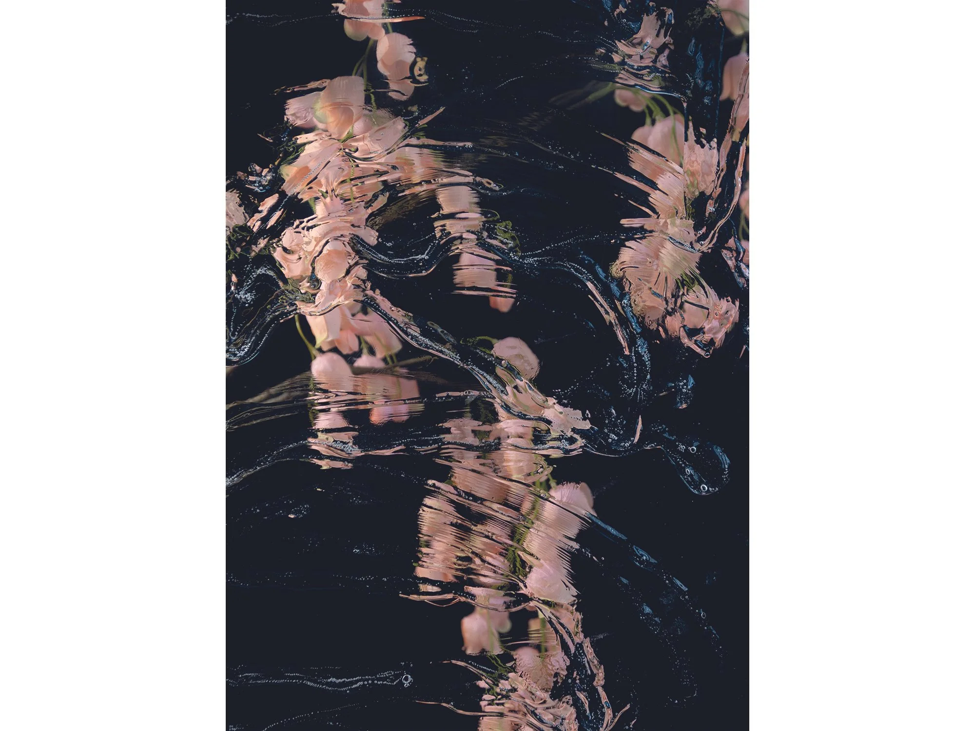 Contemporary photographic work by Sophie de Vos featuring dark black surfaces, soft pastel pink reflections and abstract glass distortions from the series Fragments of Clarity