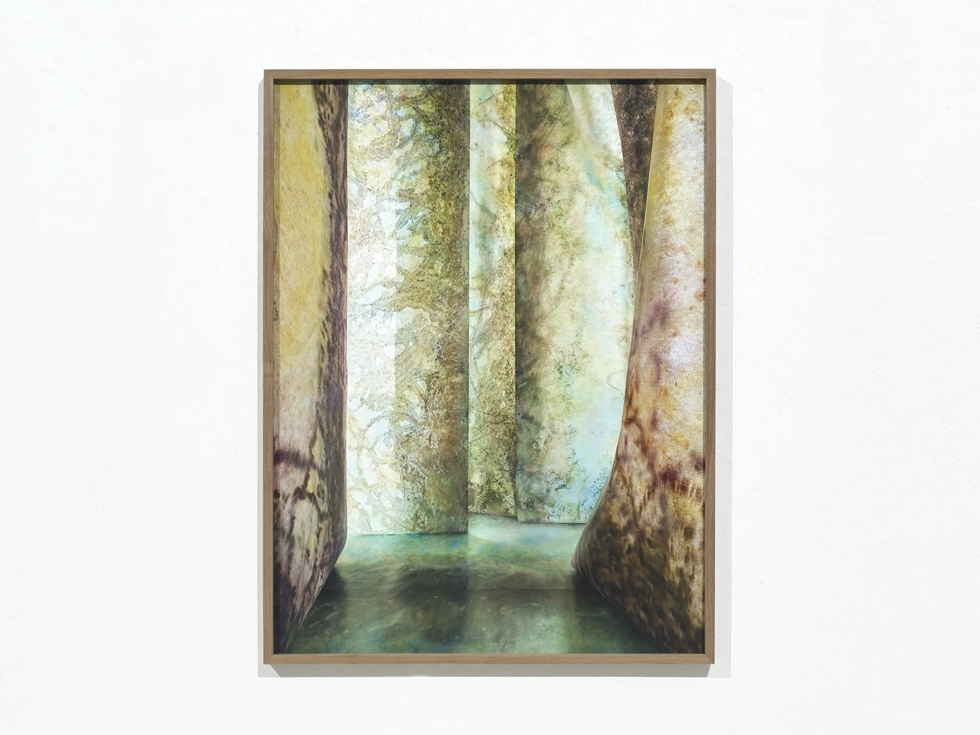 Overgrown Path 01, a contemporary photograph by Jan Theun van Rees