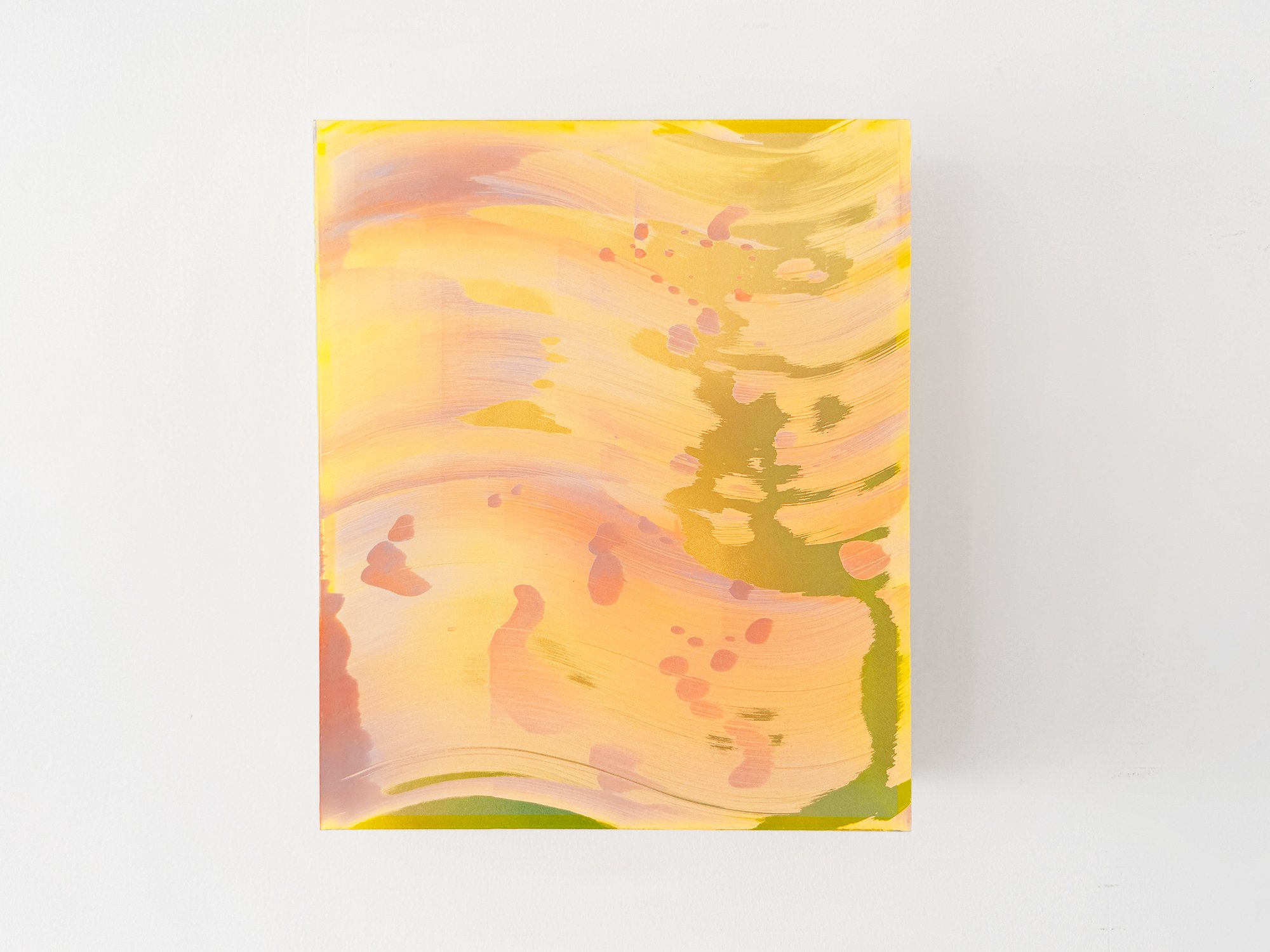 Coachella views VII By Lisette Schumacher