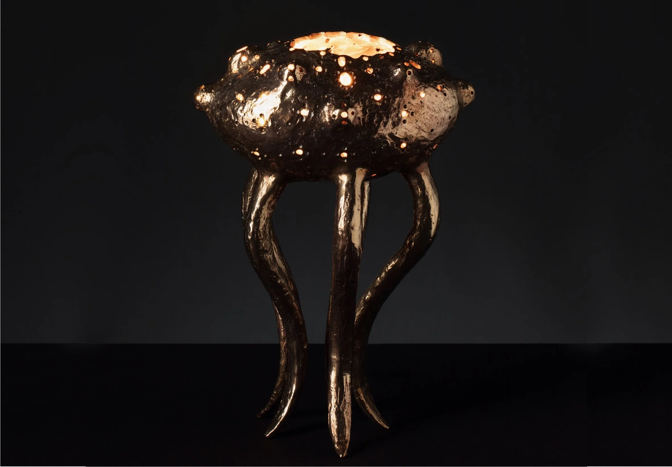 The Jellyfish by Jeske Haak